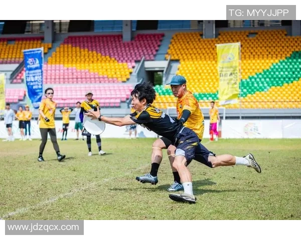 飞盘评论：南京飞盘队的区域防守得失